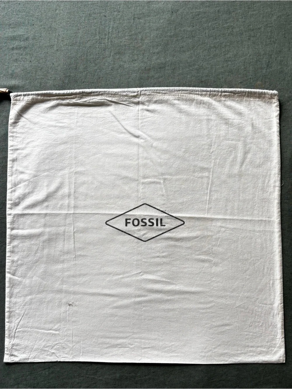 Fossil protect your
